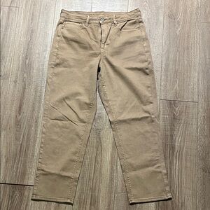 American Eagle size 12R Tan Straight-Leg Pants